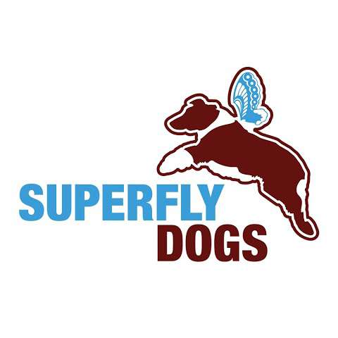 Superfly Dogs